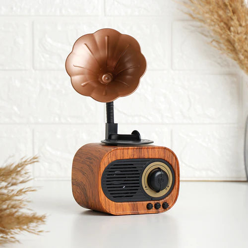 bluetooth speaker