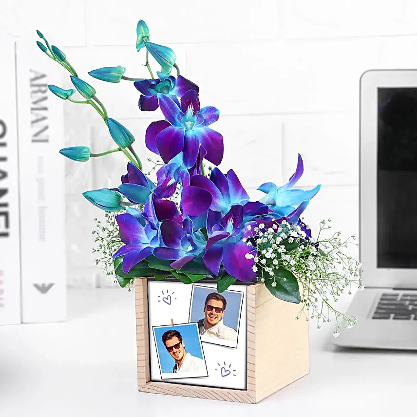 Ethereal Beauty Orchids